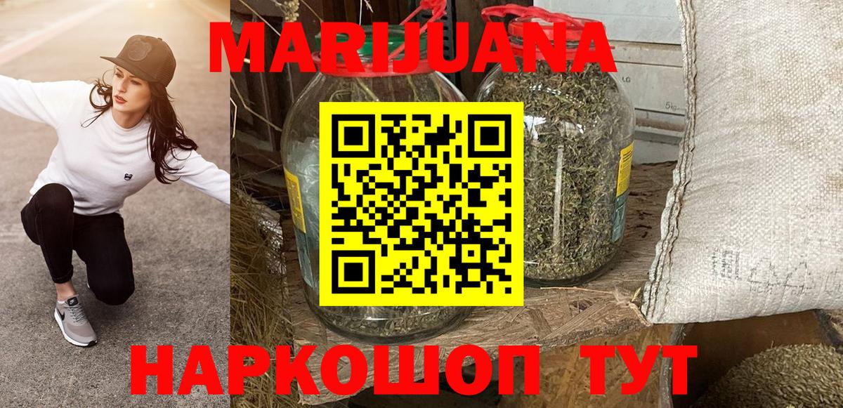 Конопля гибрид Мончегорск